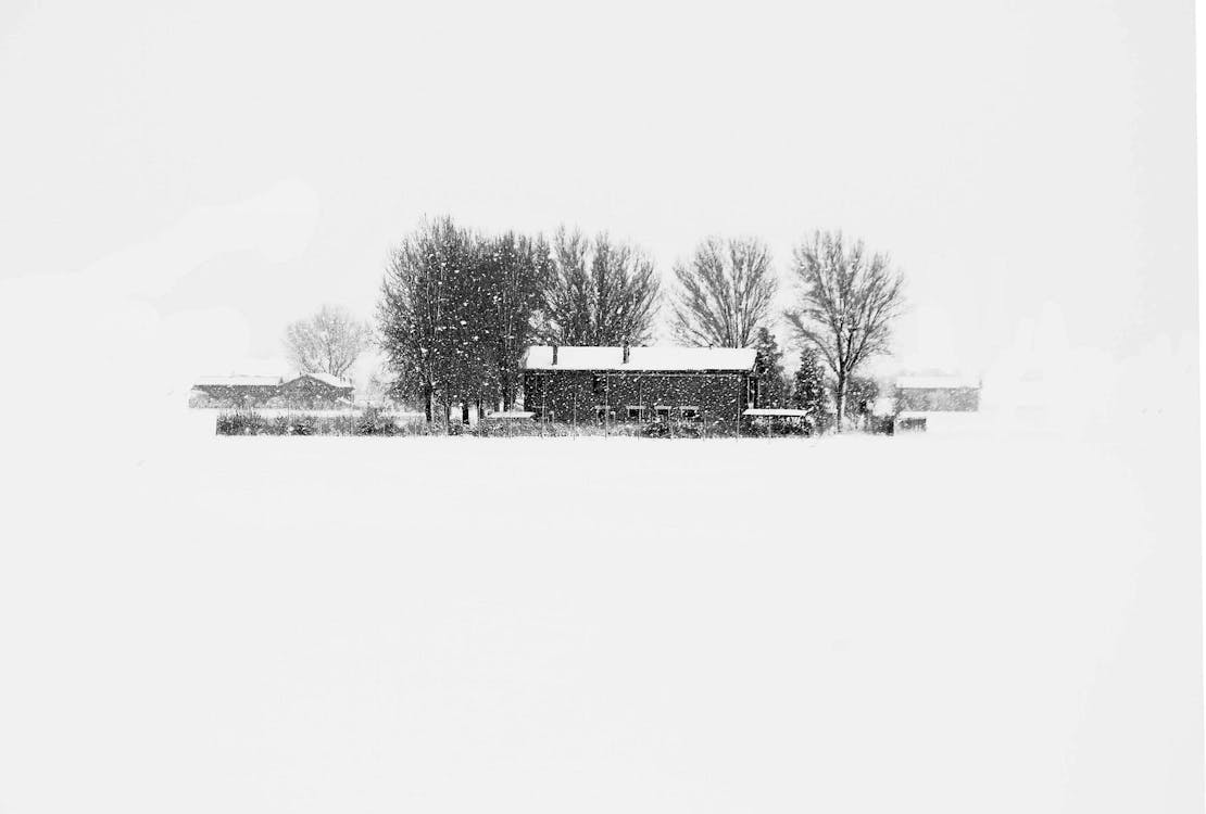 a black and white image of a house in the distance that is in a snow storm